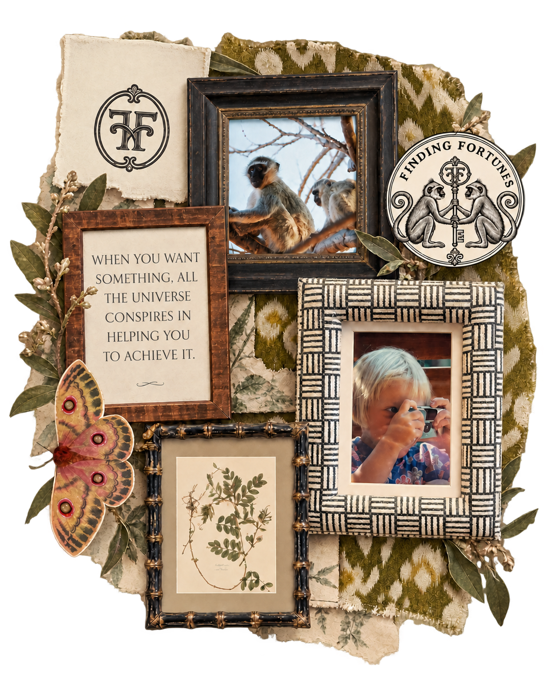 A vintage collage on black: framed photographs of monkeys in a tree and a child holding a camera, a botanical print, a silk moth, the Finding Fortunes emblem, and the quote “When you want something, all the universe conspires in helping you to achieve it.”